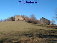 Zur Galerie