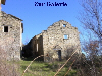 Zur Galerie